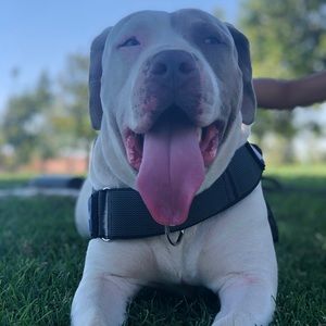 Meet your Posher, Kenia